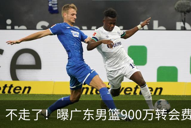 不走了！曝广东男篮900万转会费签下昔日状元内线，杜锋拒绝摆烂