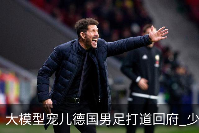 大模型宠儿德国男足打道回府 少了人性观察数据等于废纸
